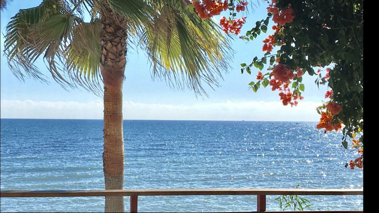 Mi Capricho 170 Beachfront Apartment Sitio de Calahonda 외부 사진